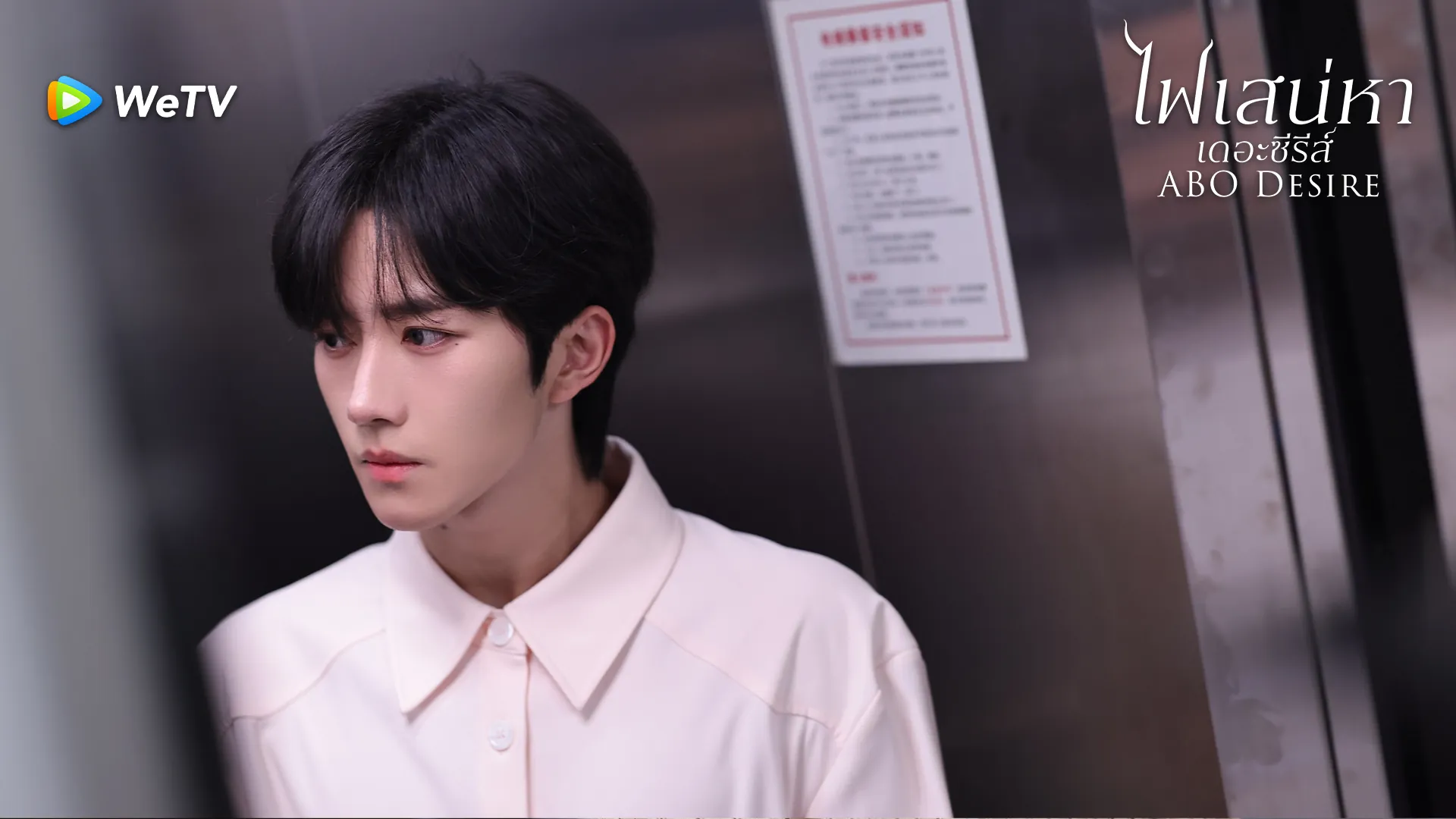 ดูซีรี่ย์ออนไลน์ ไฟเสน่หาเดอะซีรีส์